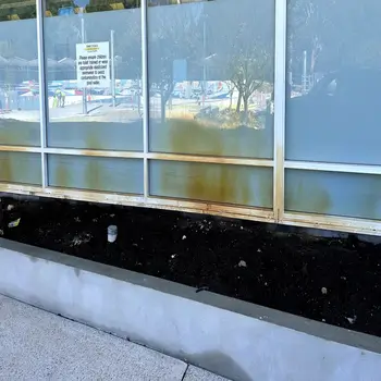 Perth-Bore-stain-removal