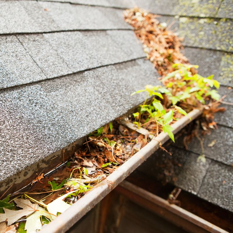 Gutter Cleaning Service Perth WA